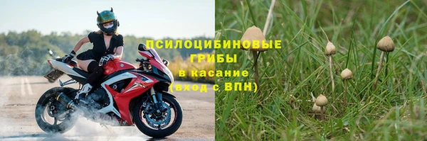 кокс Вяземский